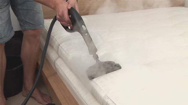 mattress cleaning bed bug treatment