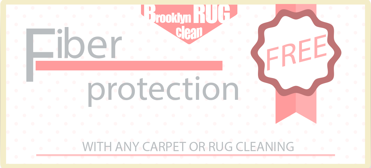 FREE FIBER PROTECTION APPLICATION WITH ANY CLEANING OVER 200
